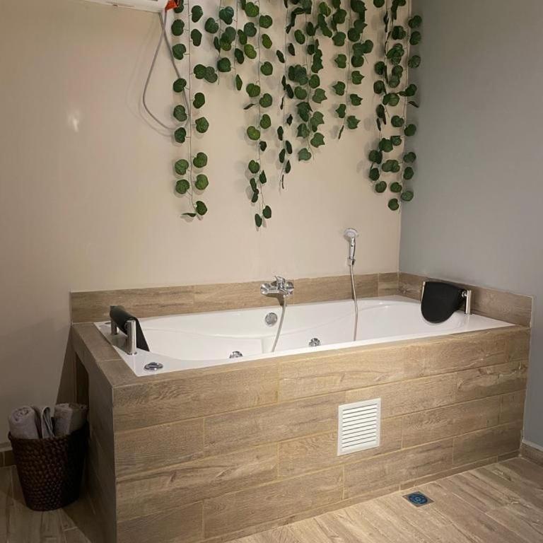 Boro House 6BR 4Jacuzzis in Laureles Medellin - Villa - 37