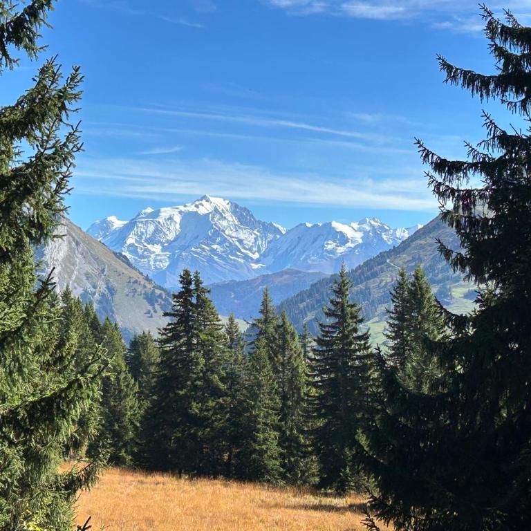 La petite Venise des Alpes, Ultra centre 1 à 5 Pers - Apartamento de 3 dormitorios - Planta Alta - 38