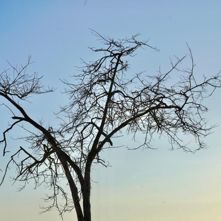 Isla Curiosa - Three-Bedroom House - 44