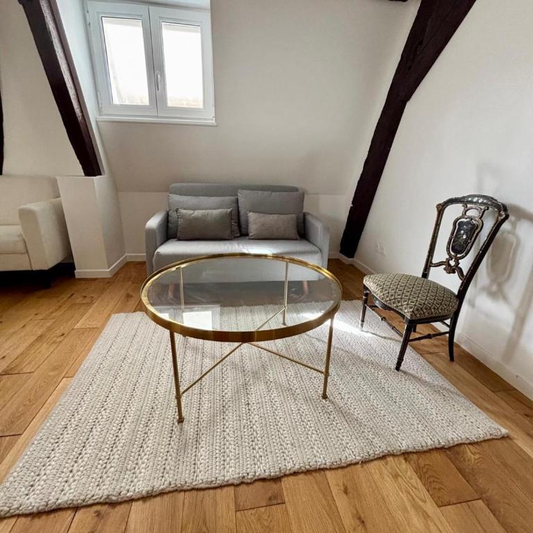 Grand Studio Place des Vosges - Appartement 1 Chambre - 2