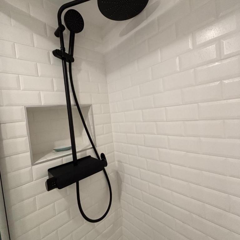Grand Studio Place des Vosges - Appartement 1 Chambre - 3