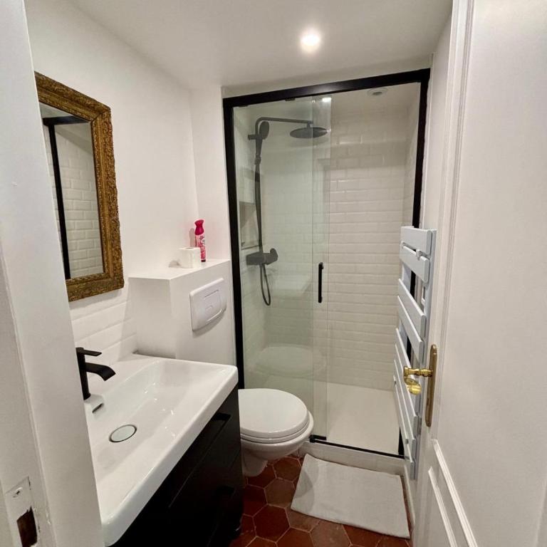 Grand Studio Place des Vosges - Appartement 1 Chambre - 4