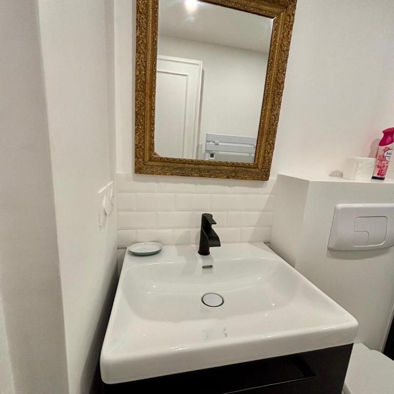 Grand Studio Place des Vosges - Appartement 1 Chambre - 5