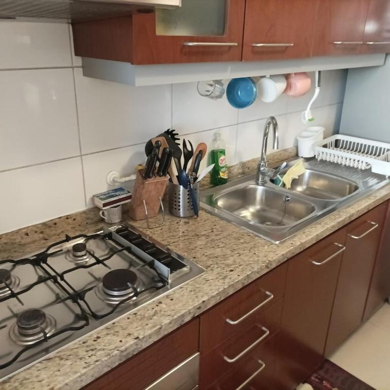 Centrico y Acogedor Depto - Apartamento - 16