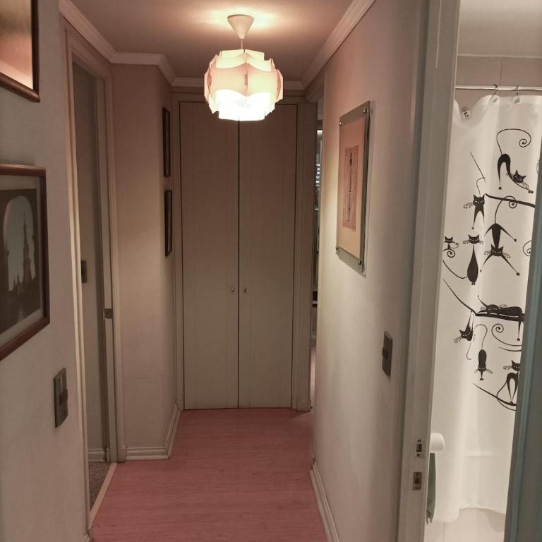 Centrico y Acogedor Depto - Apartamento - 24