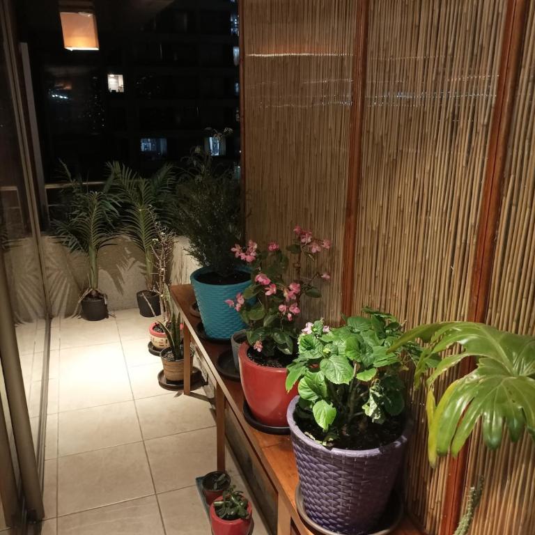 Centrico y Acogedor Depto - Apartamento - 35