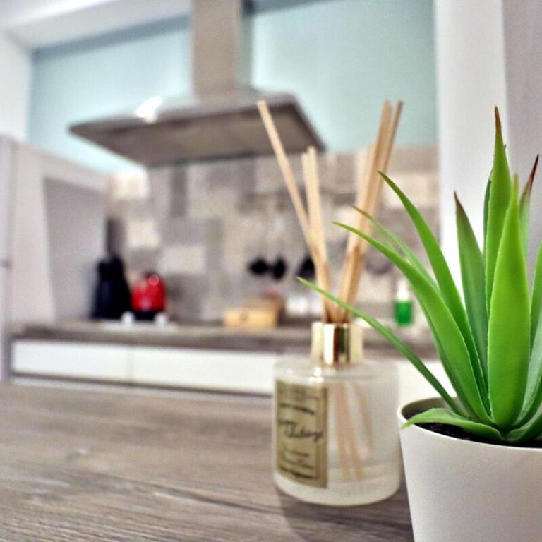 Apto Nuevo-Junto Mezquita-Con Parking Opcional - Apartamento - 9