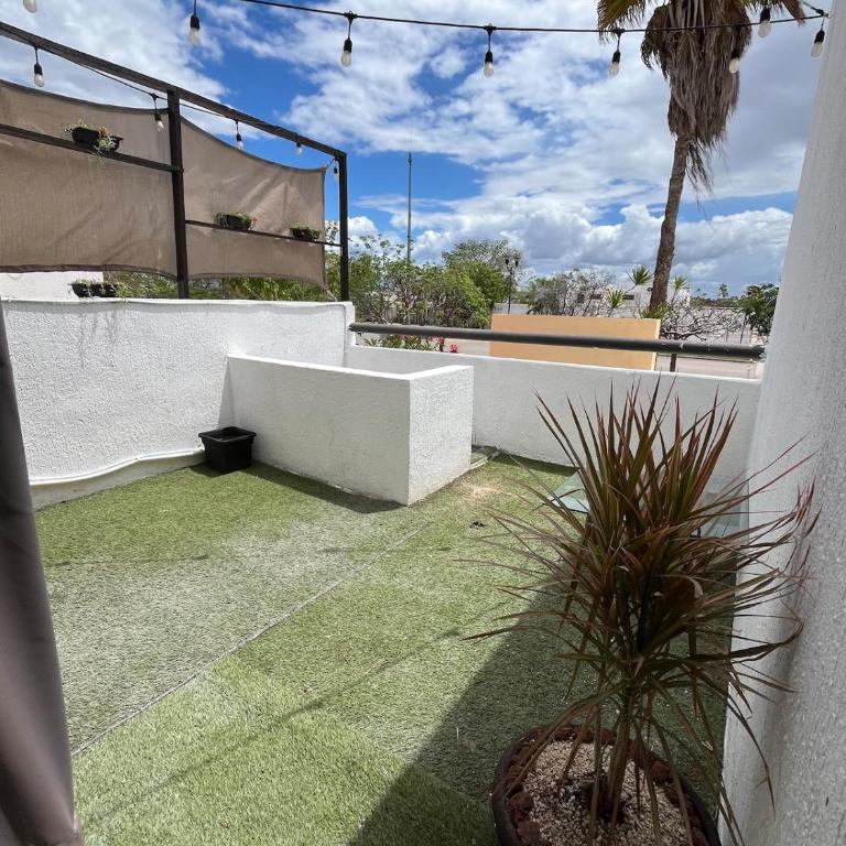 El Refugio de los Loritos - One-Bedroom Apartment - 9