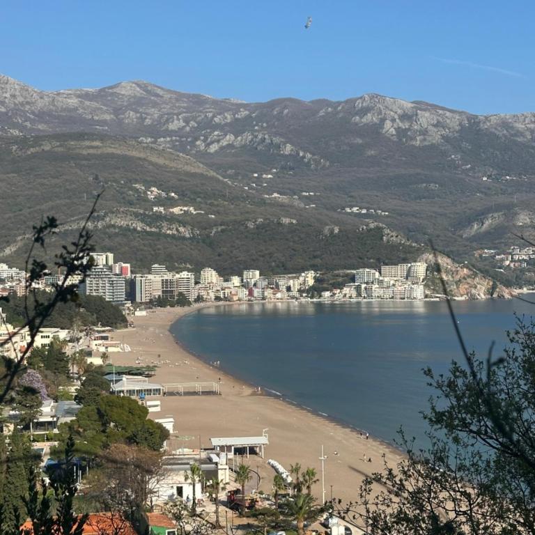 Budva - Becici - One-Bedroom Apartment - 2