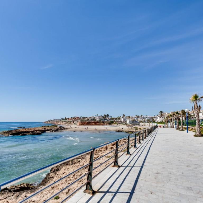 1-Bedroom Apartment for Rent in Torrevieja en los Frutales - Apartamento de 1 dormitorio - 38