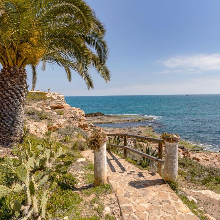 1-Bedroom Apartment for Rent in Torrevieja en los Frutales - Apartamento de 1 dormitorio - 42