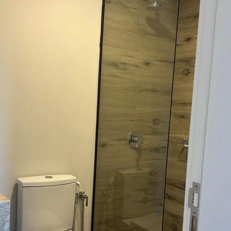 Moderno alojamiento amoblado en asuncion paraguay - Studio Apartment with One Double Bed - 5