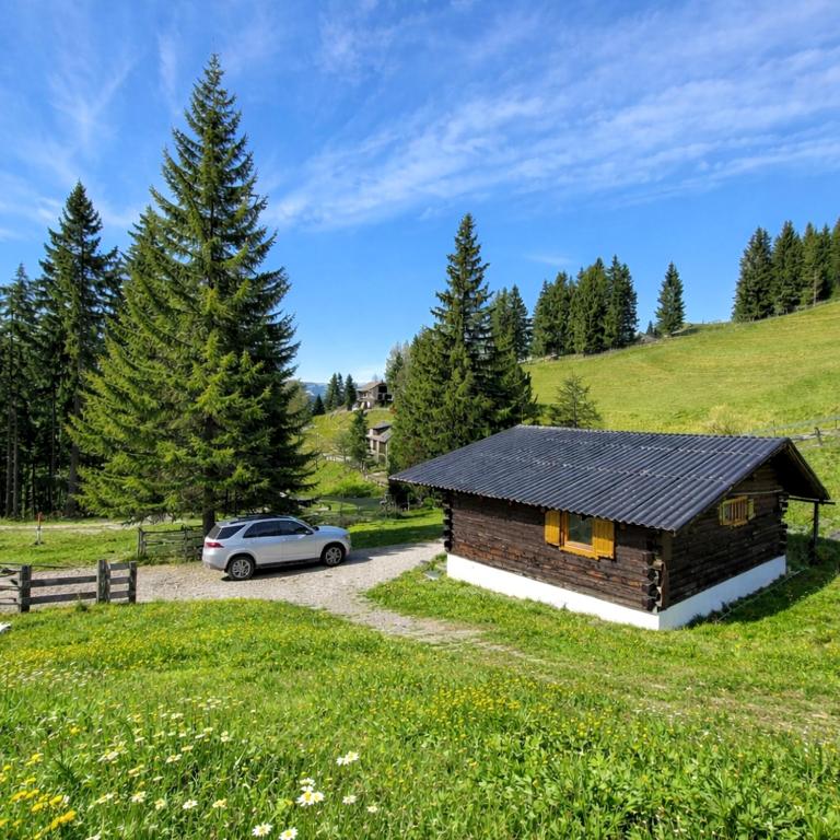 Hütte auf der Koralpe - Natur & Ruhe - Apartment mit 2 Schlafzimmern - 11