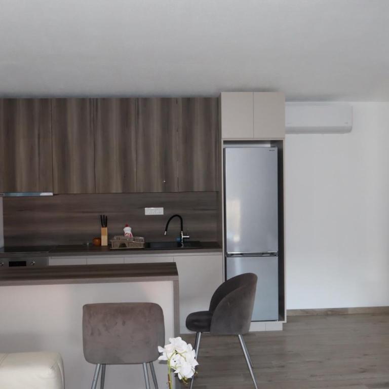 Apartman SASHA - Apartman sa 2 Spavaće Sobe - 8