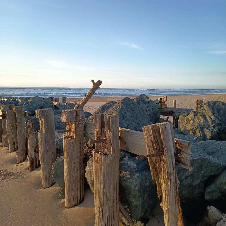 Vue Dunes & Océan Appart Cosy à 400m de la plage - Appartamento con 2 Camere da Letto - 40