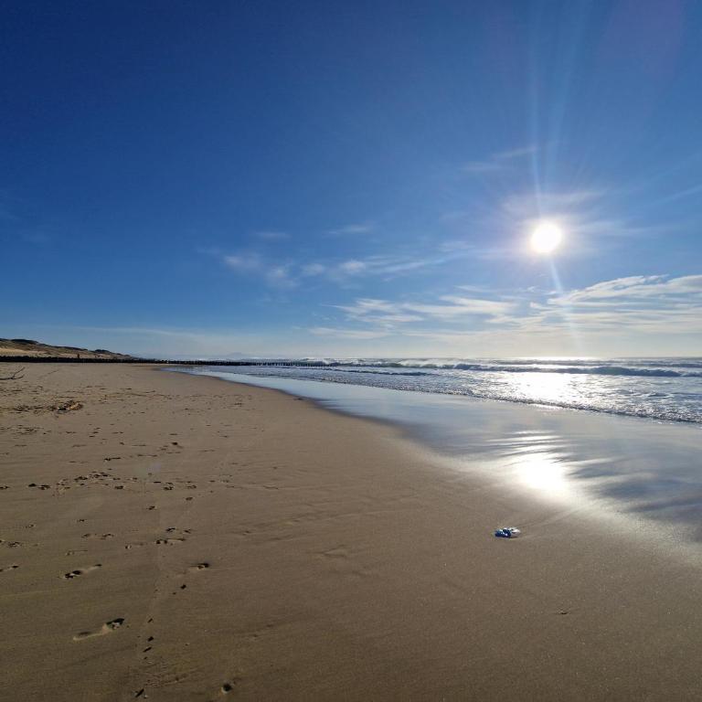 Vue Dunes & Océan Appart Cosy à 400m de la plage - Appartamento con 2 Camere da Letto - 41
