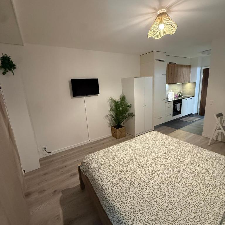 Flor- Sakura Gare Lausanne - Apartment mit 1 Schlafzimmer - 10