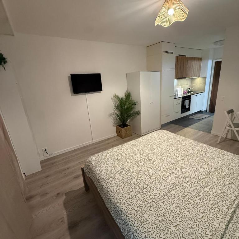 Flor- Sakura Gare Lausanne - Apartment mit 1 Schlafzimmer - 12