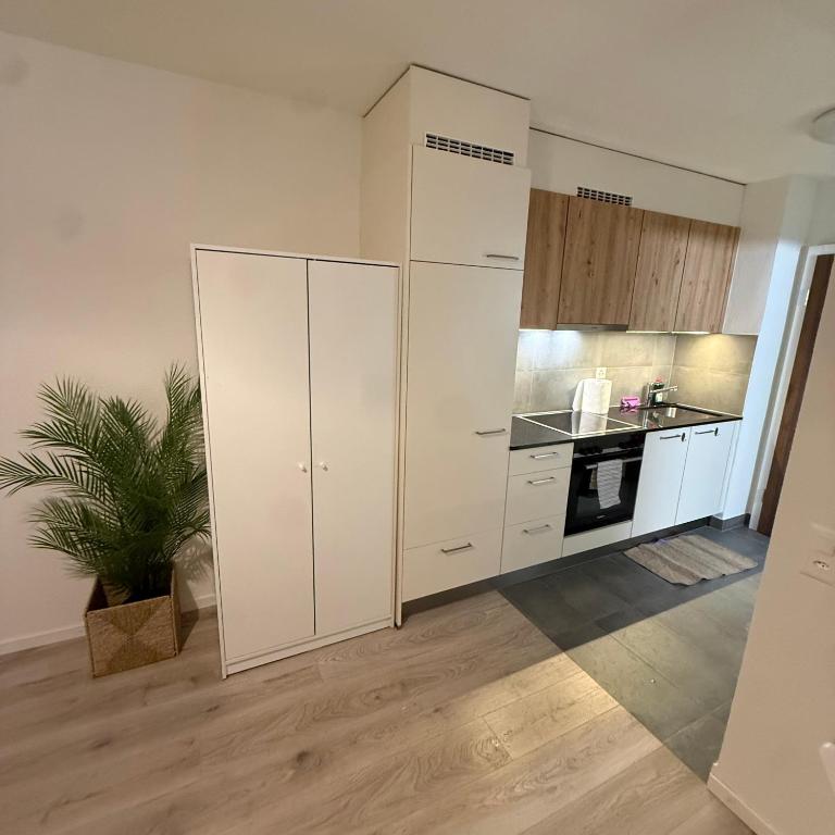 Flor- Sakura Gare Lausanne - Apartment mit 1 Schlafzimmer - 16