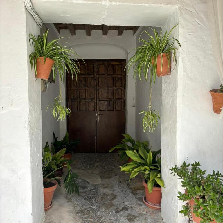 Loft La Abuela - Apartamento de 1 dormitorio - 18