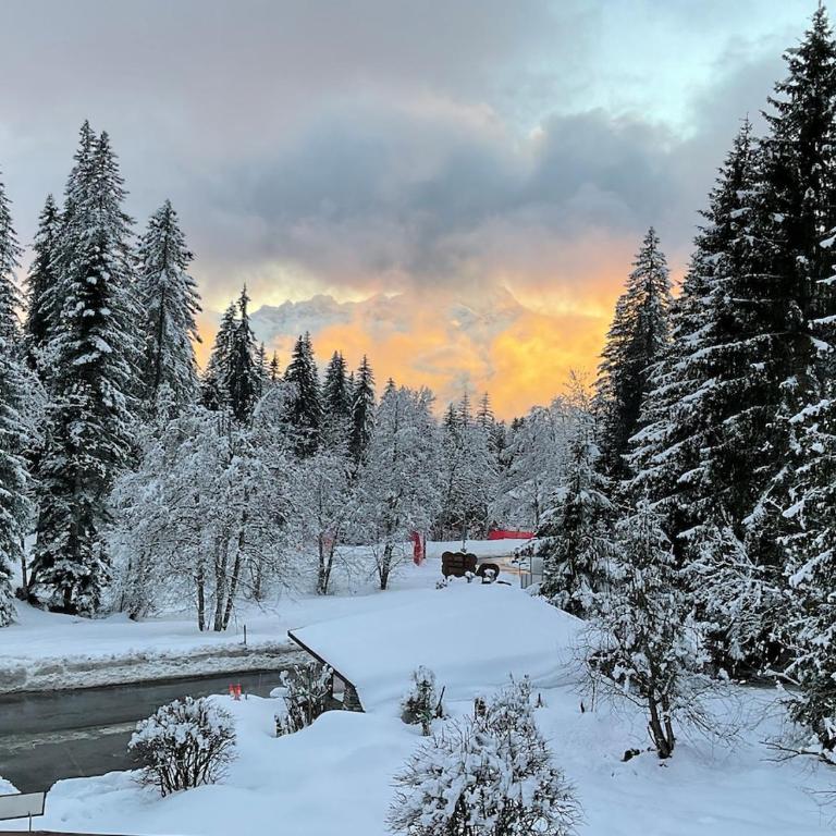 Alpine Family Duplex with amazing terrace - Appartement 2 Chambres avec Balcon et Terrasse - 12