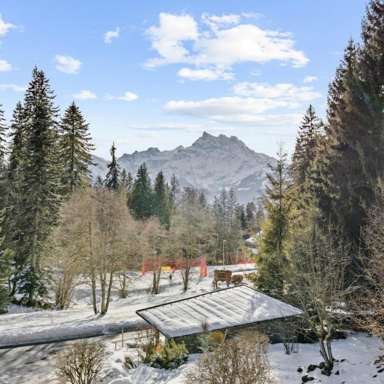 Alpine Family Duplex with amazing terrace - Appartement 2 Chambres avec Balcon et Terrasse - 13
