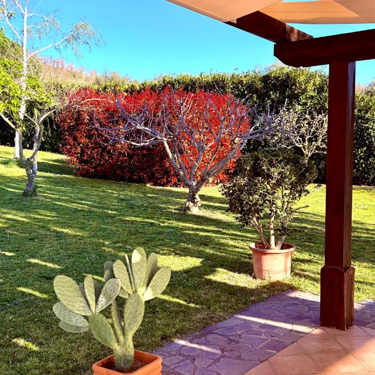 Villa Montesegnale - Villa con 2 Camere da Letto - 11