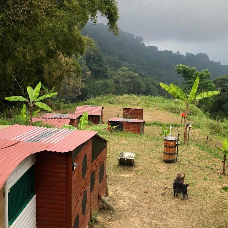 Miradores Del Oso Perezoso - Bungalow - 9