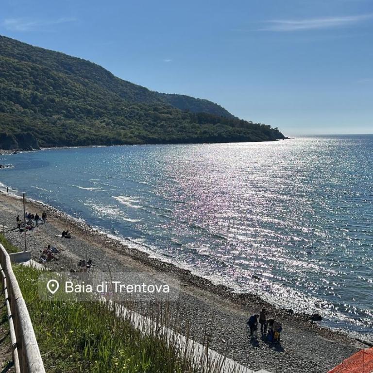 Casa Vacanze Falco - Appartamento - 8