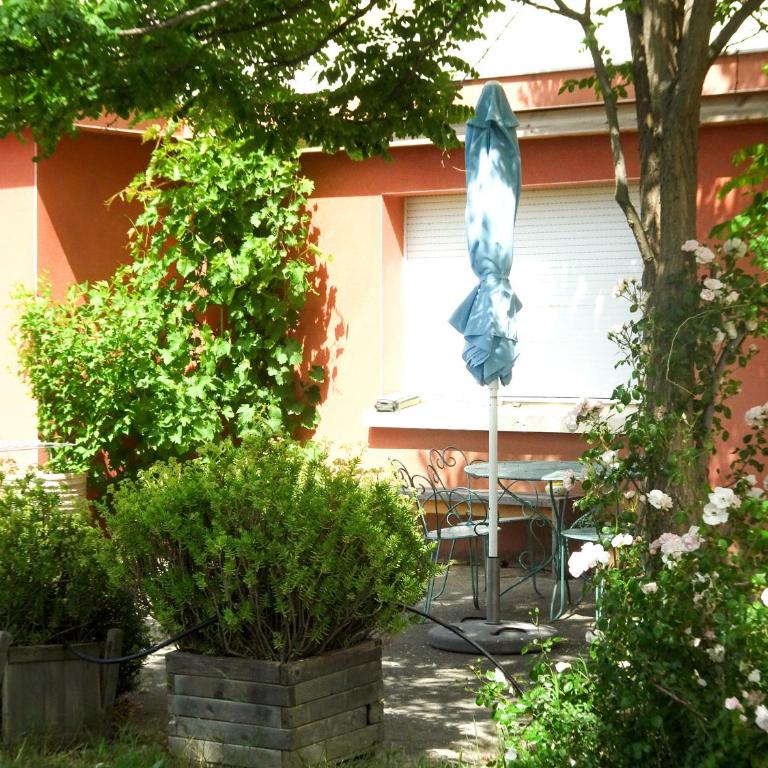Domaine du Petit Tournebelle - Appartamento con Terrazza - 33