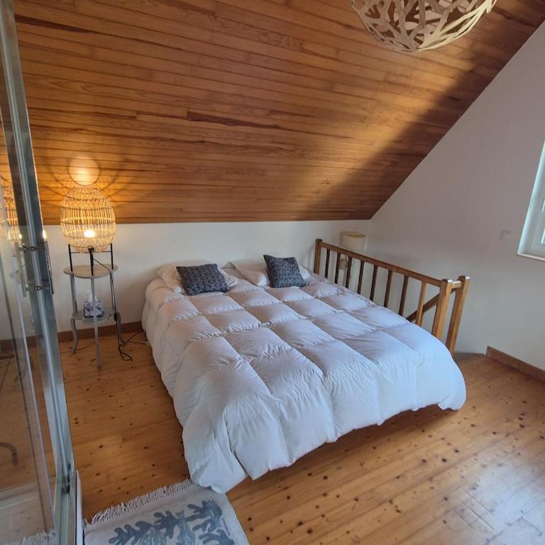 La Presqu'Île , charmante maison au calme - Appartamento con 1 Camera da Letto - 2