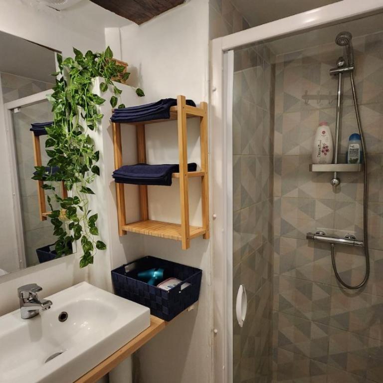 T4 Authentique Toulousain Fully equiped- 3bed 5person hypercentre - Apartment mit 3 Schlafzimmern - 4