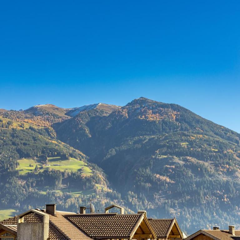 Royal Swan Appartement, Tirol - Superior Chalet - 34