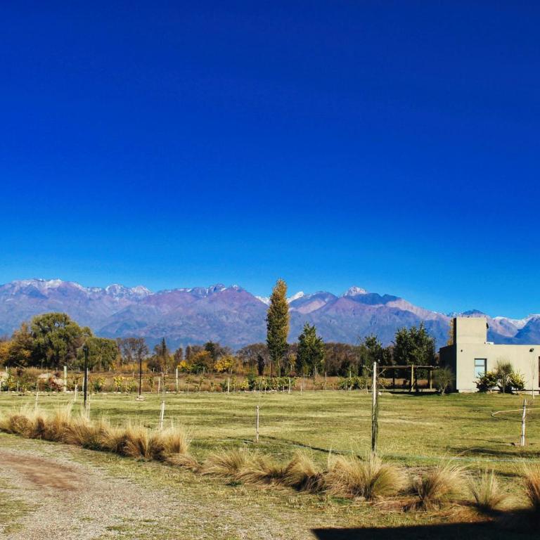 Complejo Piuquenes Valle de Uco - One-Bedroom House - 19