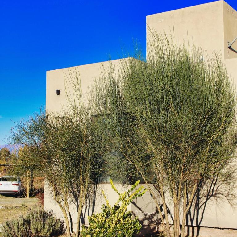 Complejo Piuquenes Valle de Uco - One-Bedroom House - 34
