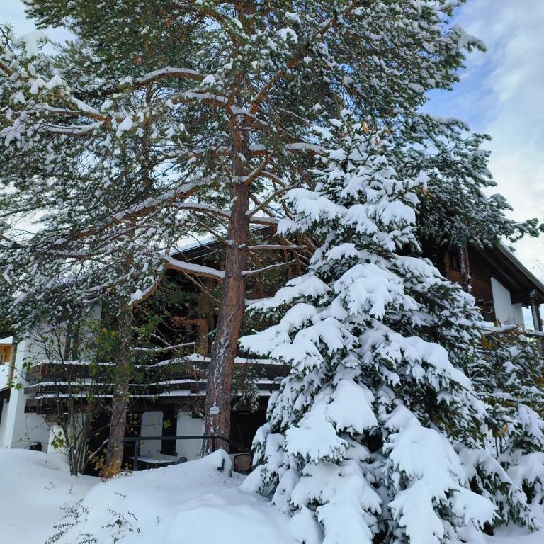 Bel appartement dans un chalet typique - Apartamento de 2 dormitorios - 12