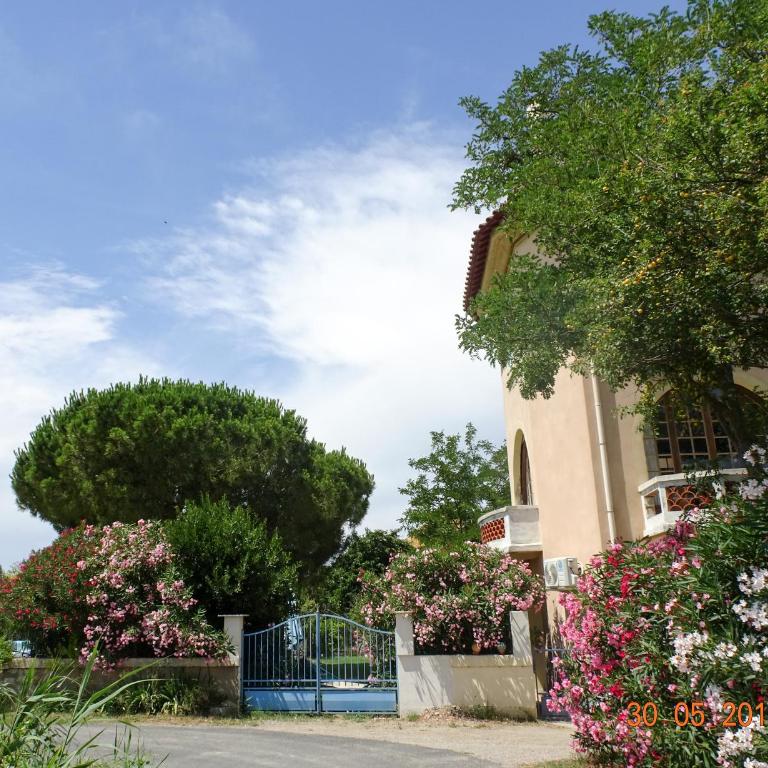 Domaine du Petit Tournebelle - Appartamento Monolocale - 28