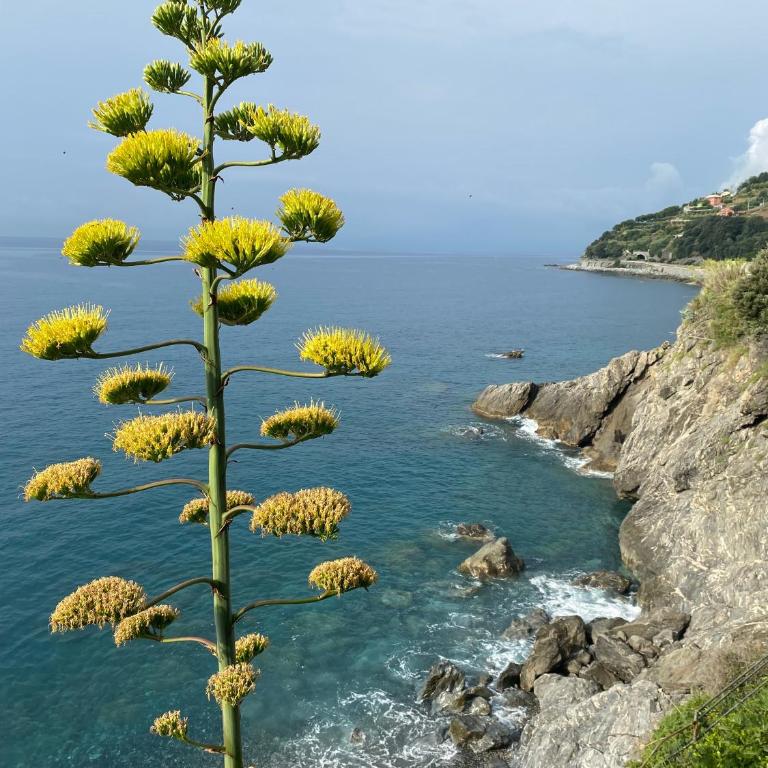 La finestra sul mare - 2 camere - vicino spiaggia - Three-Bedroom Apartment - 22