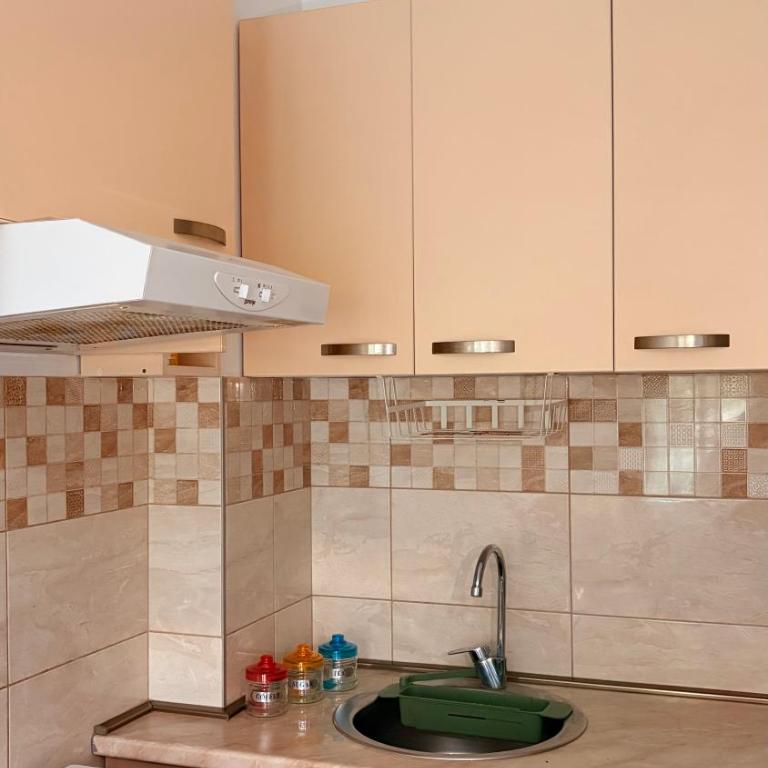 Vanja's apartment - Apartman sa 1 Spavaćom Sobom - 6