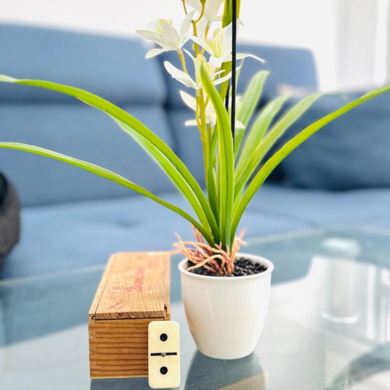 Ideal for your family, close to the beach - Apartment - 32