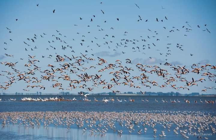 Betania - Apartamento de 1 dormitorio - 6