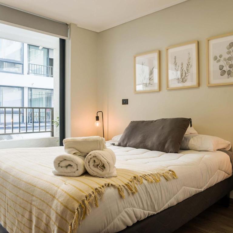 Modern and comfortable 1BR 1BA in Santiago - Apartment - 2