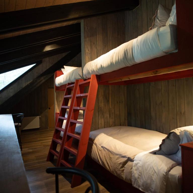 Roble Viejo Lodge - Comfort Quadruple Room - 7