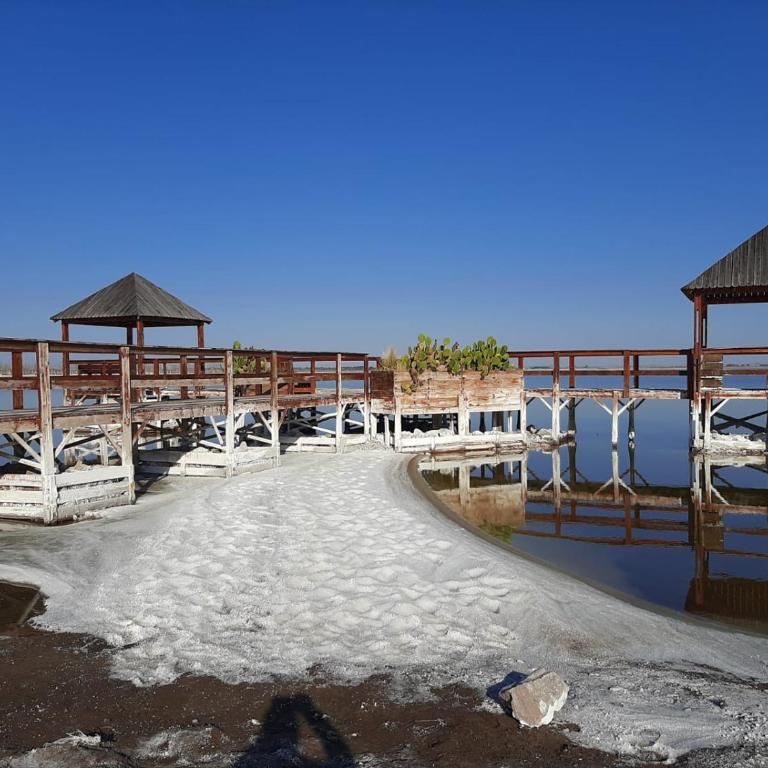 Betania - Apartamento de 1 dormitorio - 14