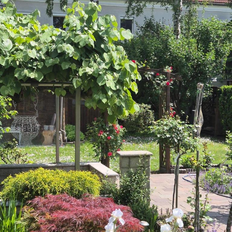 Garden Paradise Stadtoase - Apartamento de 3 dormitorios - 20