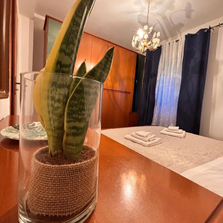 Zagara & Sale Home - Apartment - 17
