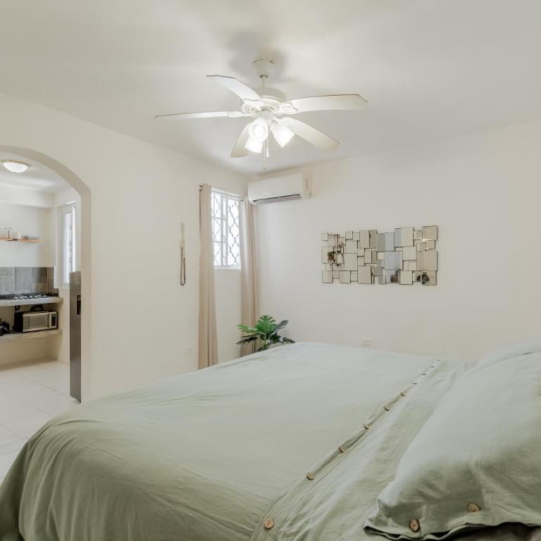 Hermoso DEPARTAMENTO En El Centro Y Corazon DE CANCUN - Apartamento de 1 dormitorio - 6