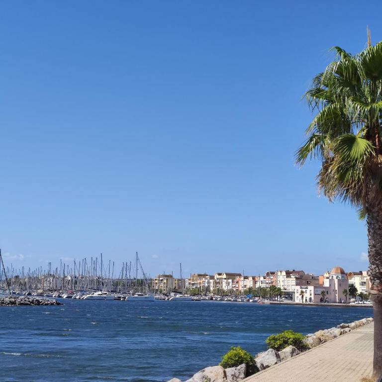 Le Thalassa II appartement T2 en bord de plage et du Port - Appartamento con 1 Camera da Letto - 14