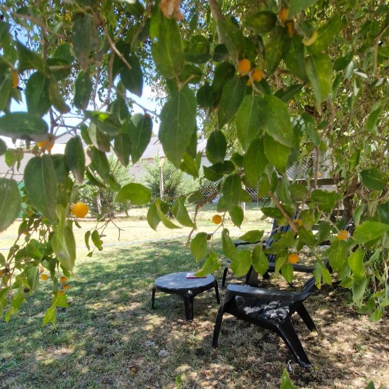 Descanso del Monte - Three-Bedroom House - 36