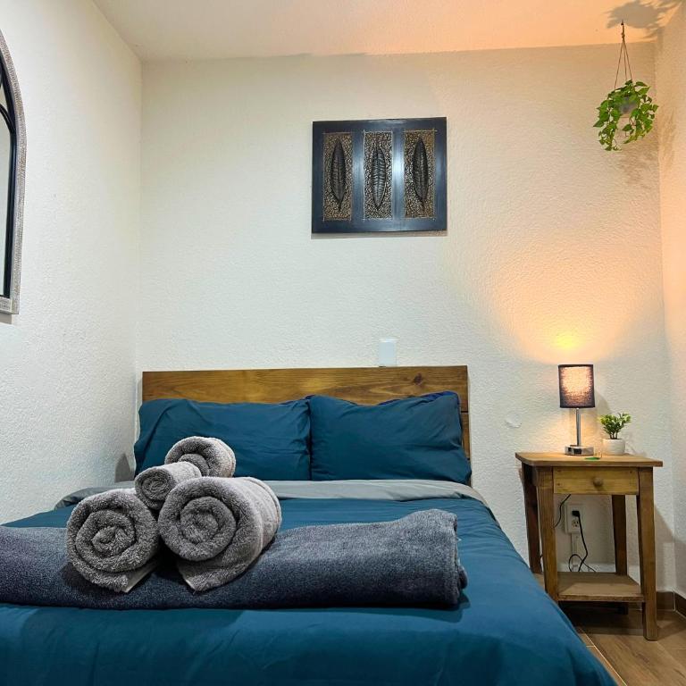 Discover Condesa Ideal Location - Kleines Doppelzimmer - 16